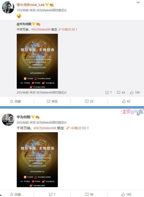 元芳爆料视频大全最新版