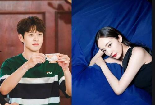 moco杨幂最新爆料,Moco世界揭开神秘面纱  第1张